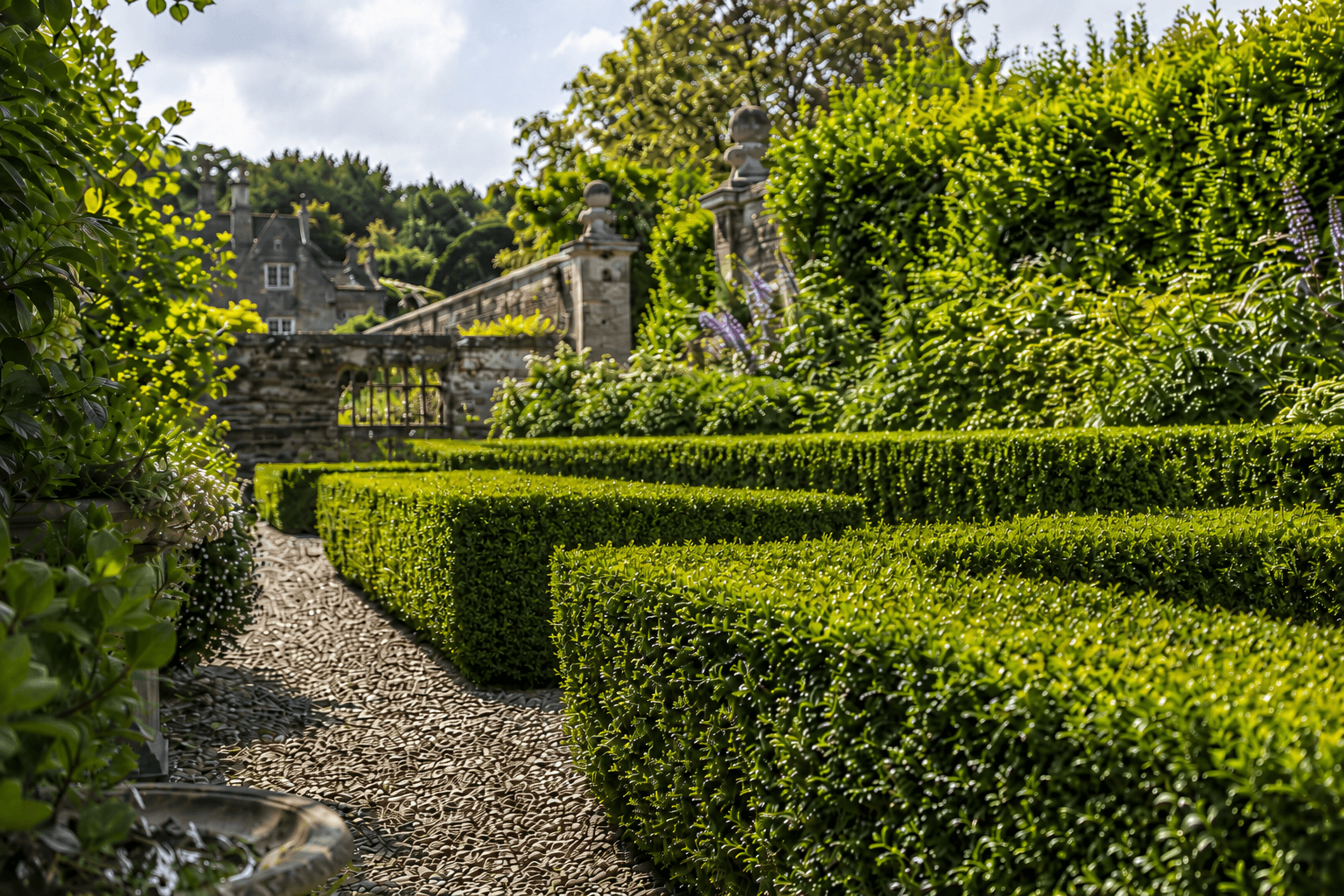 Established box hedging beside a garden path at a country house